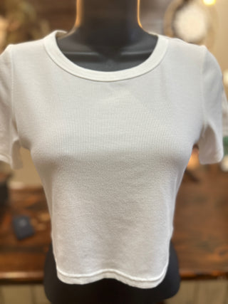 Rib Knit White Crop Top