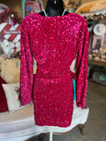 Raspberry Sequin Dress