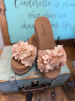 Corkys Wildflower in Natural